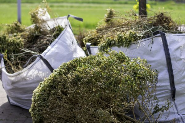 Plant Removal Service in Sandpoint