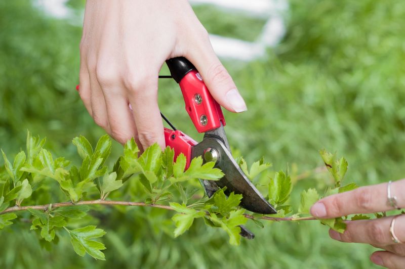 Tools for Shrub Trimming